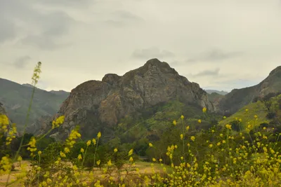 DSC_6304 (Large).JPG